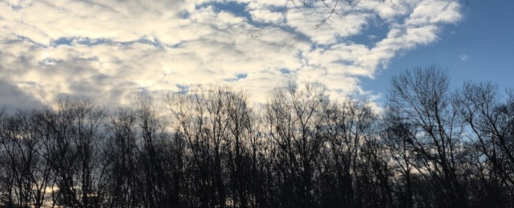 Parameter and Result Objects