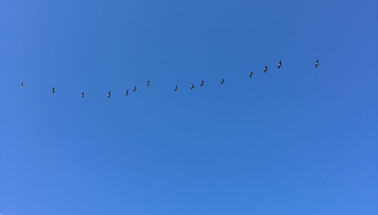 JavaScript Promises are No for Control Flow