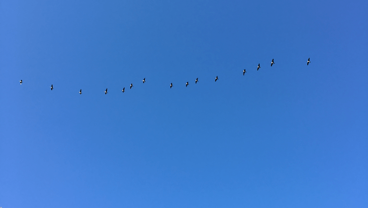 JavaScript Promises are No for Control Flow